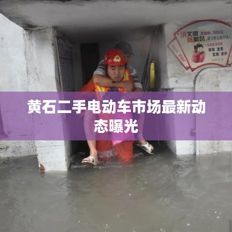 黄石二手电动车市场最新动态曝光
