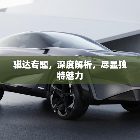 骐达专题,深度解析,尽显独特魅力