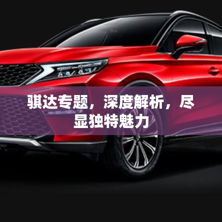 骐达专题,深度解析,尽显独特魅力
