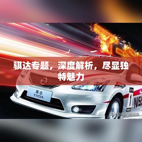 骐达专题,深度解析,尽显独特魅力