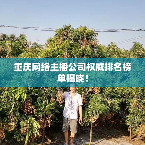 重庆网络主播公司权威排名榜单揭晓!