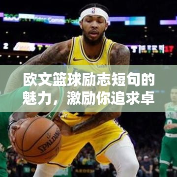 欧文篮球励志短句的魅力,激励你追求卓越,百度热推!