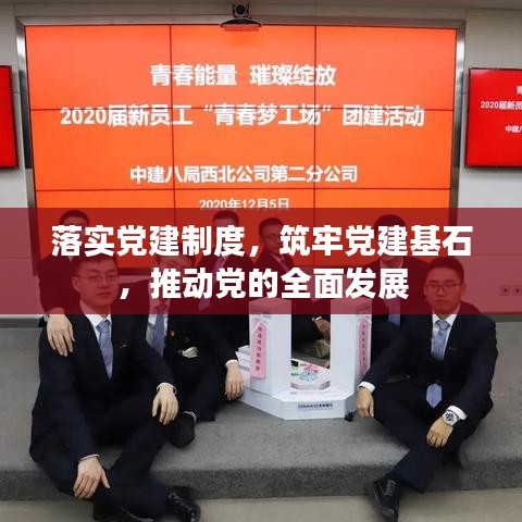 落实党建制度,筑牢党建基石,推动党的全面发展