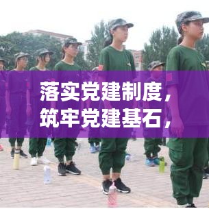 落实党建制度,筑牢党建基石,推动党的全面发展