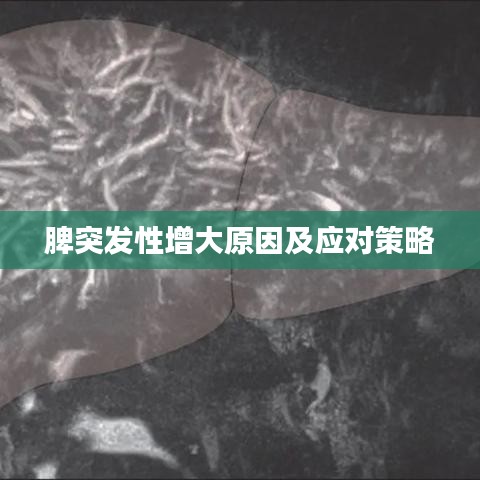 脾突发性增大原因及应对策略
