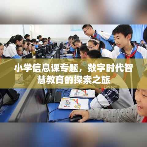 小学信息课专题，数字时代智慧教育的探索之旅