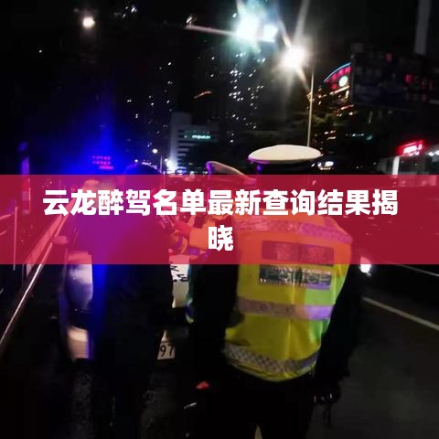 云龙醉驾名单最新查询结果揭晓