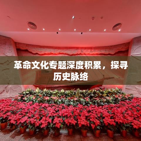 革命文化专题深度积累，探寻历史脉络