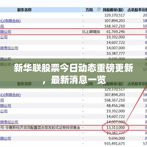 新华联股票今日动态重磅更新,最新消息一览