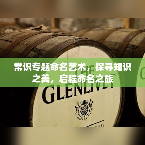 常识专题命名艺术,探寻知识之美,启程命名之旅