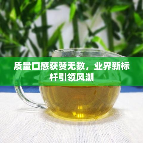 质量口感获赞无数,业界新标杆引领风潮