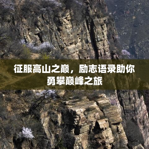 征服高山之巅,励志语录助你勇攀巅峰之旅