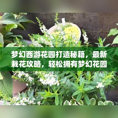 梦幻西游花园打造秘籍,最新栽花攻略,轻松拥有梦幻花园!