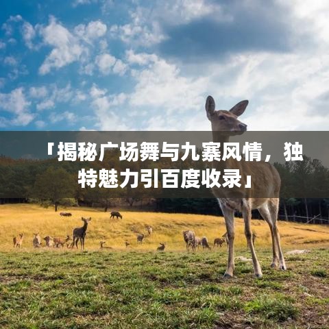 「揭秘广场舞与九寨风情,独特魅力引百度收录」