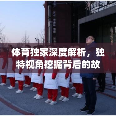 大发888官方下载,定性解答解释定义-粉丝款_v10.777