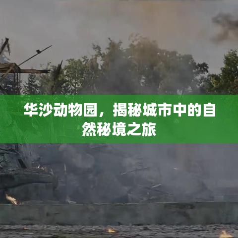 华沙动物园，揭秘城市中的自然秘境之旅