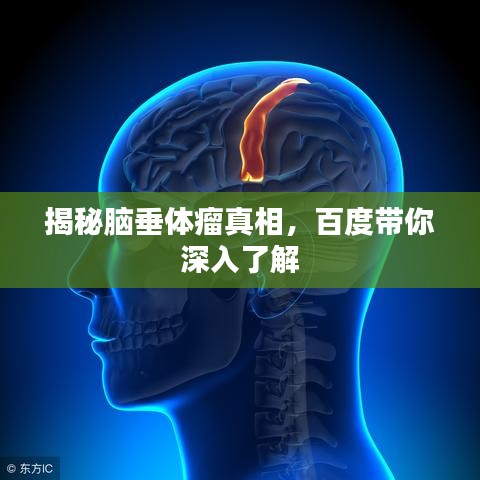 揭秘脑垂体瘤真相,百度带你深入了解