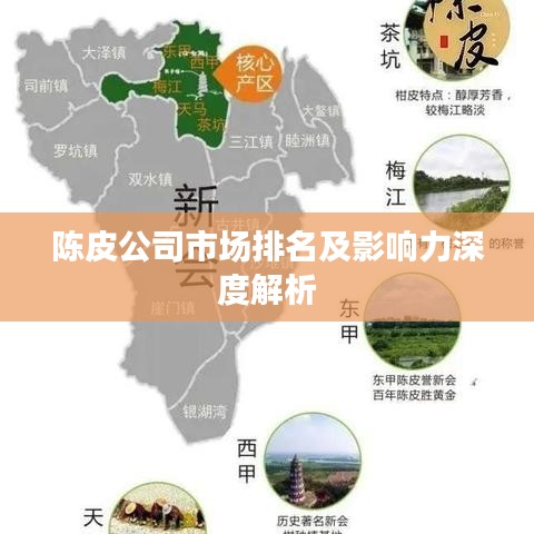 陈皮公司市场排名及影响力深度解析