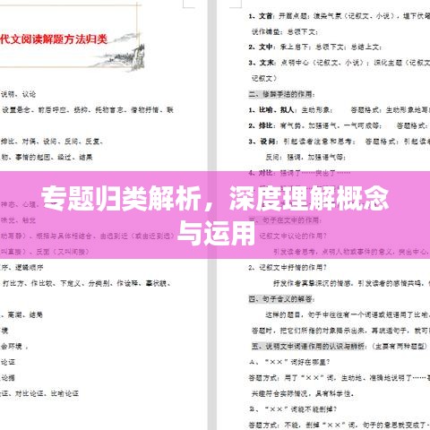 专题归类解析,深度理解概念与运用