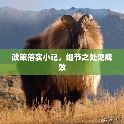 政策落实小记,细节之处见成效