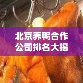北京养鸭合作公司排名大揭秘，权威榜单不容错过！
