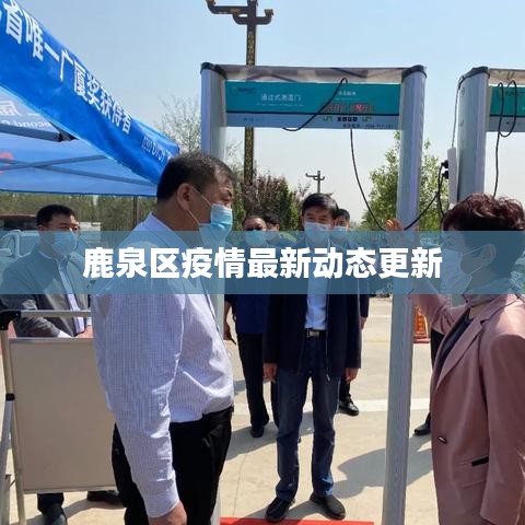 随方就圆 第5页