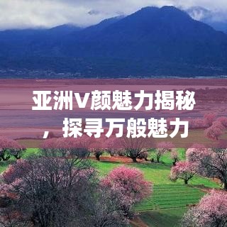 亚洲V颜魅力揭秘,探寻万般魅力的百度之旅