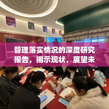 管理落实情况的深度研究报告,揭示现状,展望未来解决方案