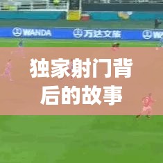 独家射门背后的故事与意义揭秘，数字背后的秘密解读