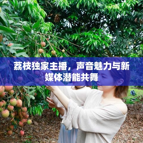 荔枝独家主播,声音魅力与新媒体潜能共舞