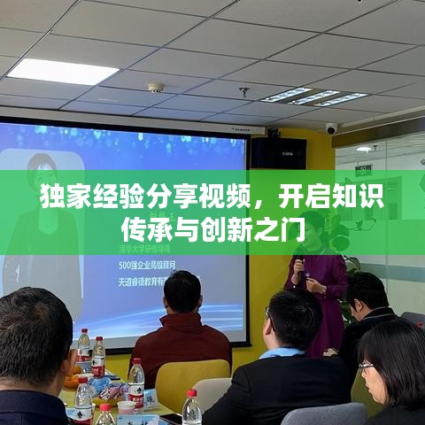 独家经验分享视频，开启知识传承与创新之门