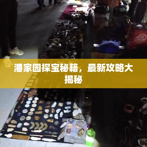 潘家园探宝秘籍，最新攻略大揭秘