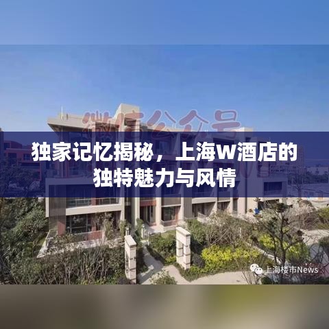 独家记忆揭秘，上海W酒店的独特魅力与风情