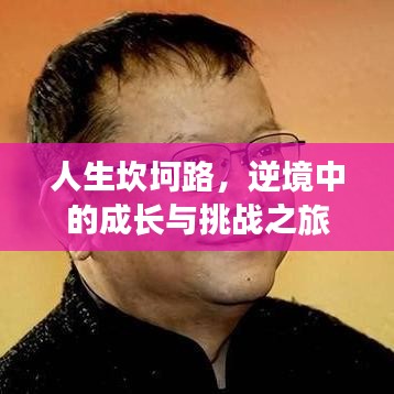人生坎坷路，逆境中的成长与挑战之旅