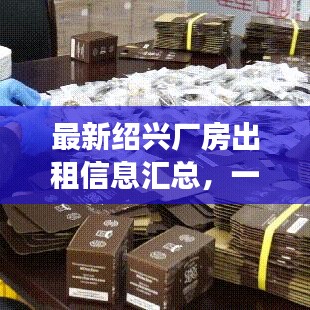 最新绍兴厂房出租信息汇总,一站式解决你的租赁需求!