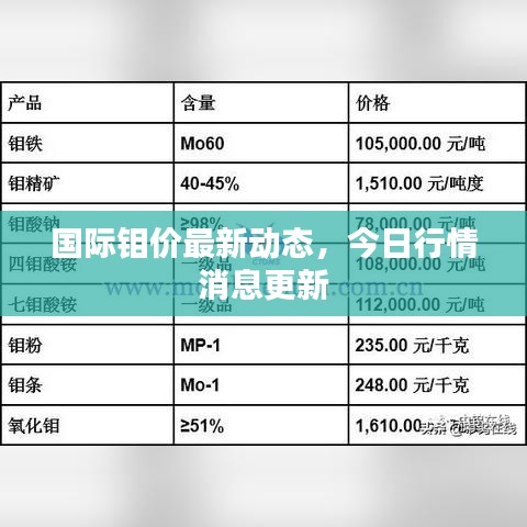 国际钼价最新动态,今日行情消息更新