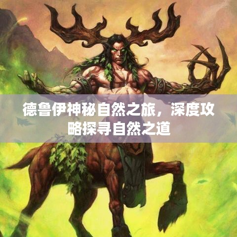 德鲁伊神秘自然之旅,深度攻略探寻自然之道