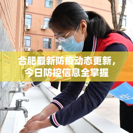 合肥最新防疫动态更新,今日防控信息全掌握