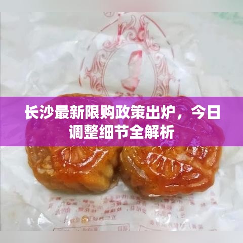 长沙最新限购政策出炉,今日调整细节全解析
