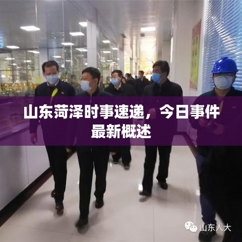 草率收兵 第2页