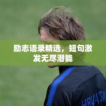 励志语录精选，短句激发无尽潜能