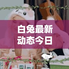 白兔最新动态今日揭秘