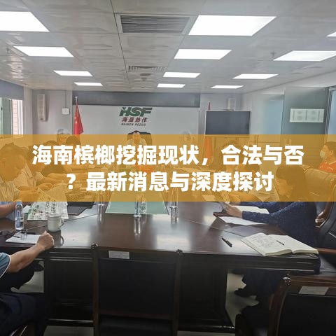 海南槟榔挖掘现状，合法与否？最新消息与深度探讨