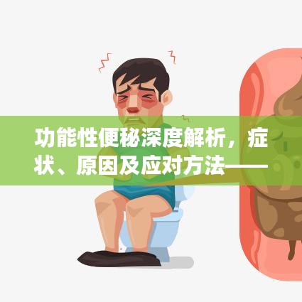 功能性便秘深度解析,症状、原因及应对方法——百度收录标准标题