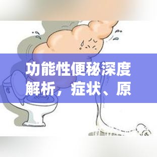 功能性便秘深度解析,症状、原因及应对方法——百度收录标准标题