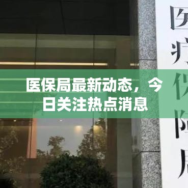 医保局最新动态，今日关注热点消息
