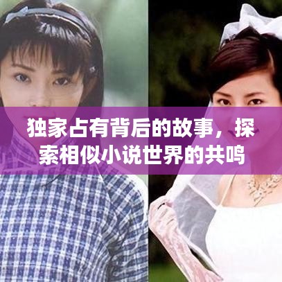 独家占有背后的故事,探索相似小说世界的共鸣之旅
