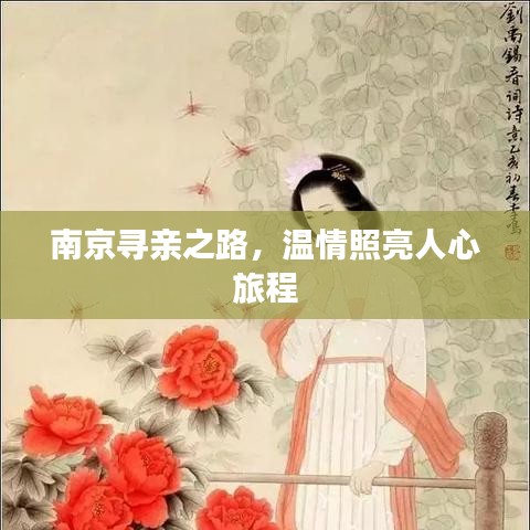 南京寻亲之路，温情照亮人心旅程