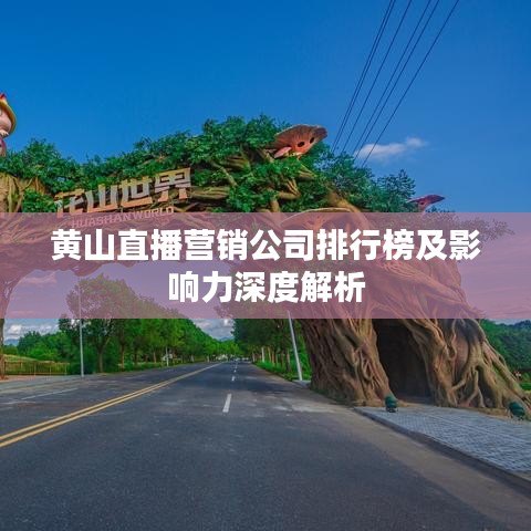 黄山直播营销公司排行榜及影响力深度解析