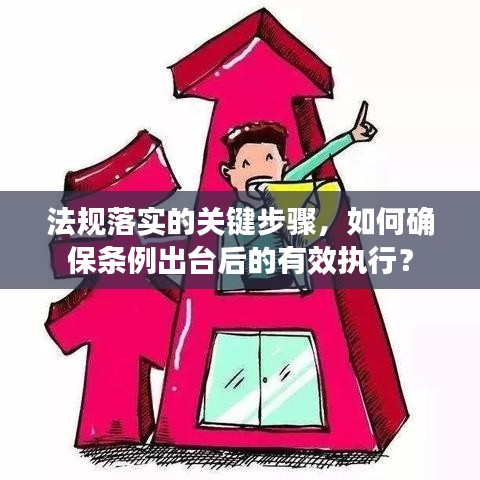 法规落实的关键步骤，如何确保条例出台后的有效执行？